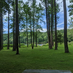 PXL 20210814 184729109