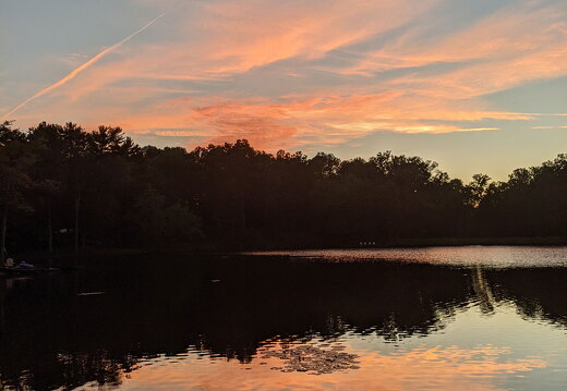 PXL 20210815 005532403