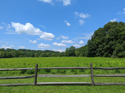 PXL 20220811 184625149