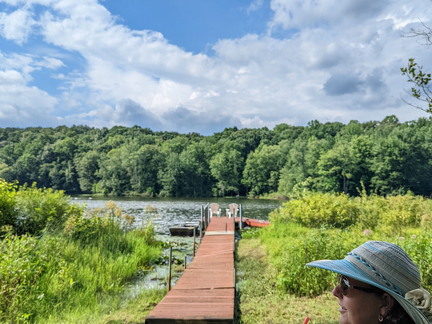 PXL 20220811 203813243