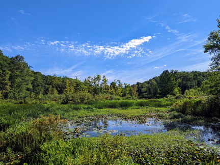 PXL 20220812 142636642 