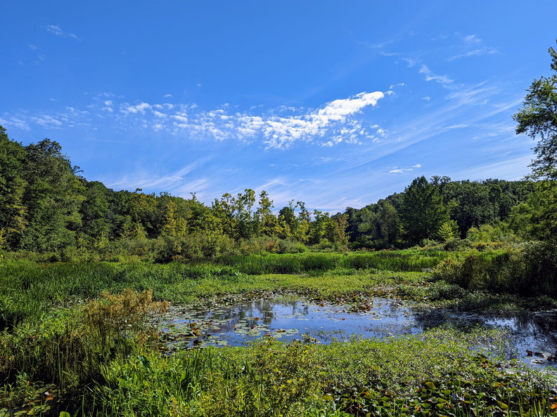 PXL 20220812 142636642 