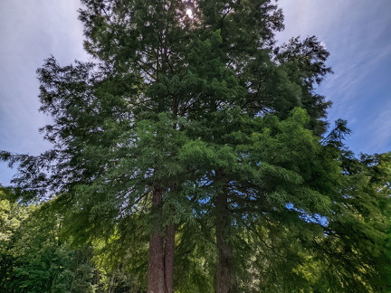 PXL 20220812 182222698