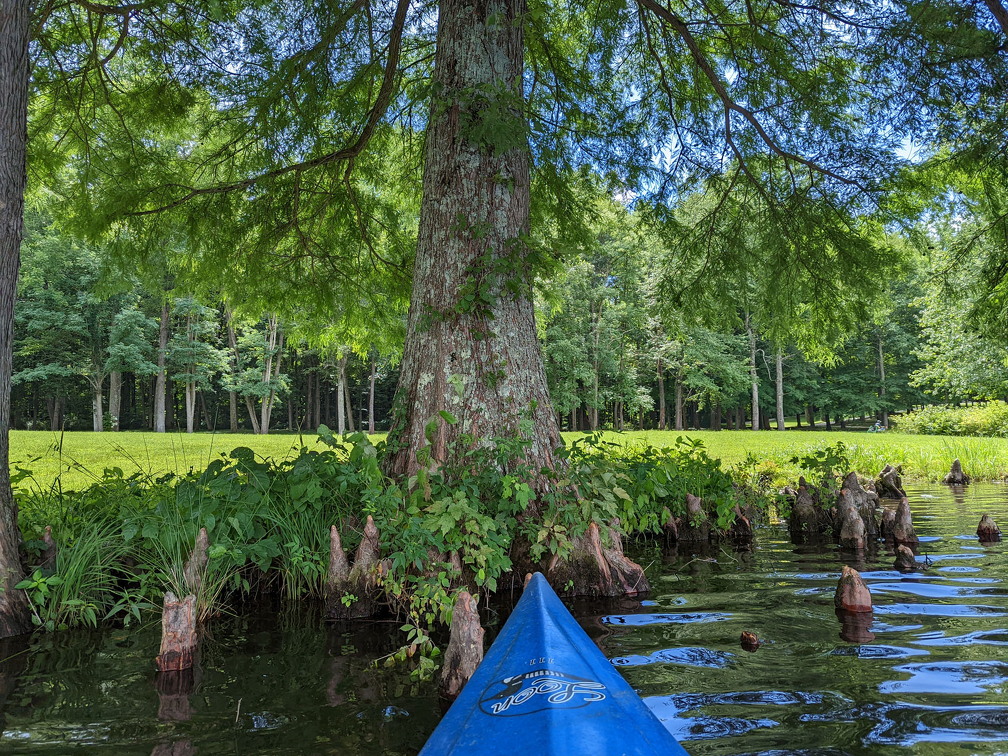 PXL 20220812 182635471