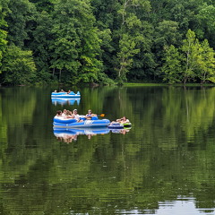 PXL 20220813 184022777