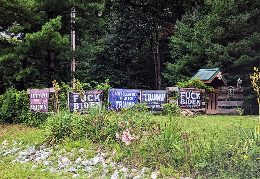 PXL 20220814 151649741 