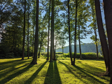 PXL 20230817 233949372