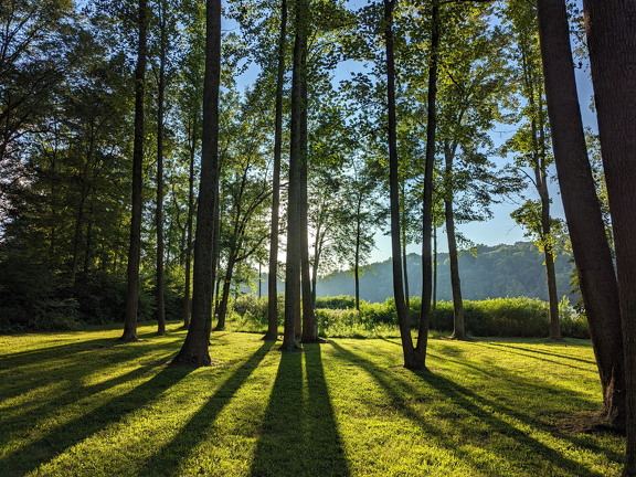 PXL 20230817 233949372