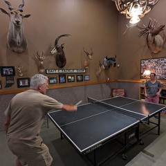 PXL 20230818 223626098