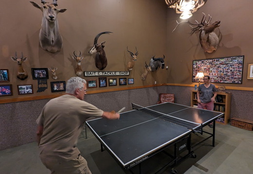 PXL 20230818 223626098