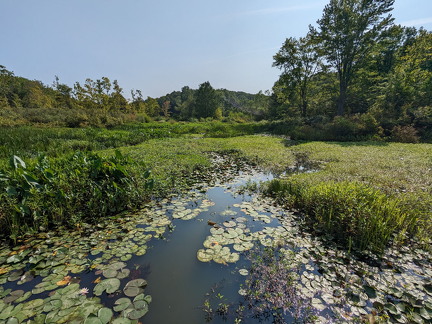 PXL 20230819 151555327