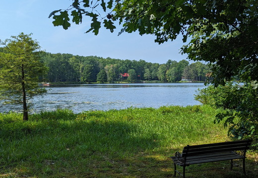 PXL 20230819 152254384.PORTRAIT.ORIGINAL