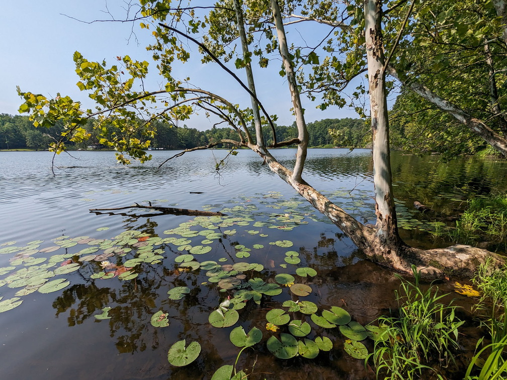 PXL 20230819 152920056