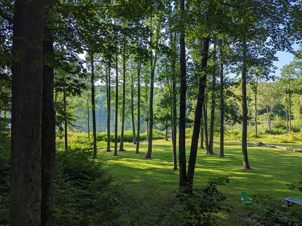 PXL 20230819 225118282