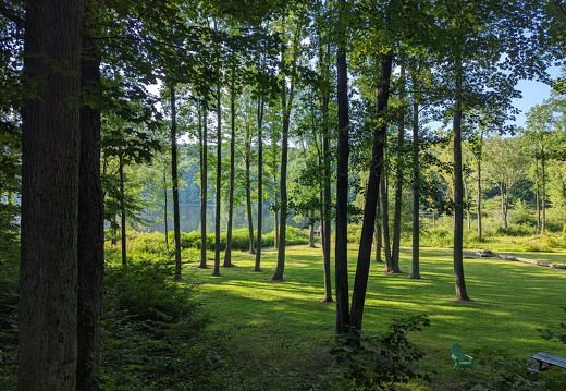 PXL 20230819 225118282