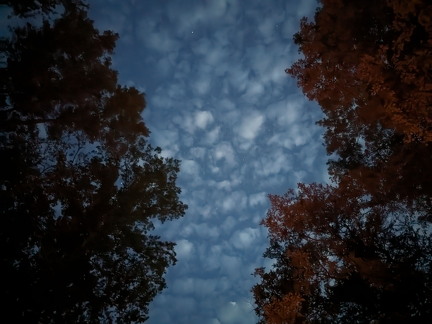 PXL 20230820 012858809.NIGHT