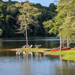 PXL 20240809 215139331