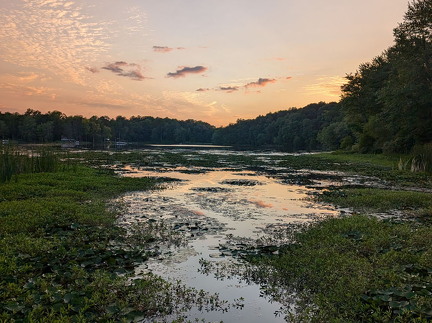 PXL 20240811 003223558