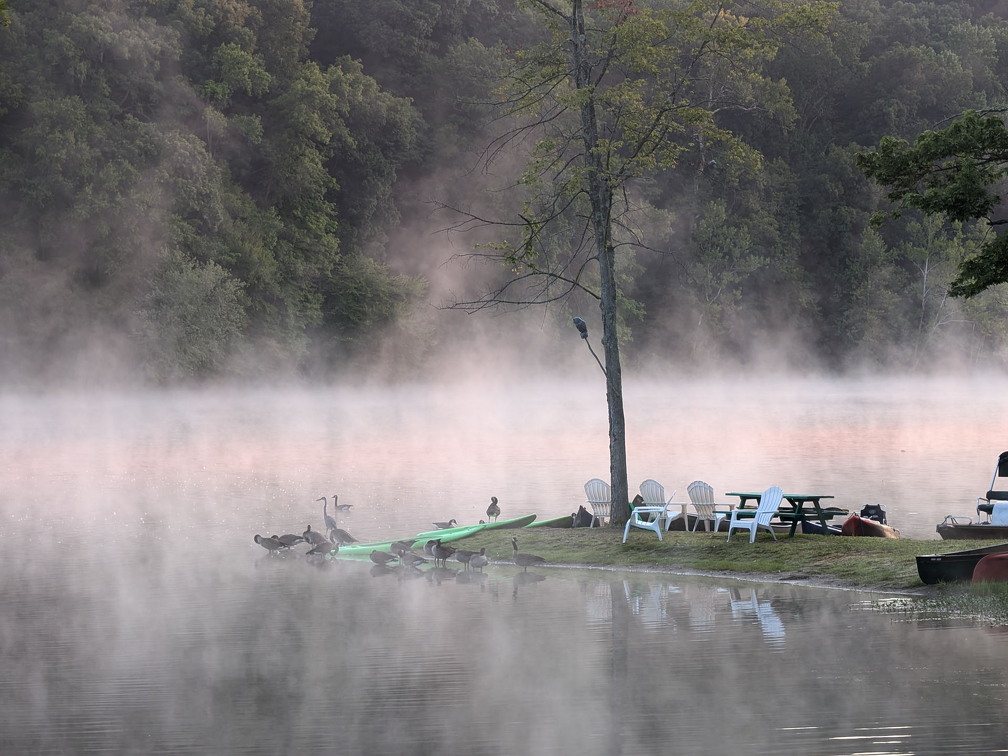 PXL 20240811 111627468