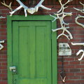 greendooor