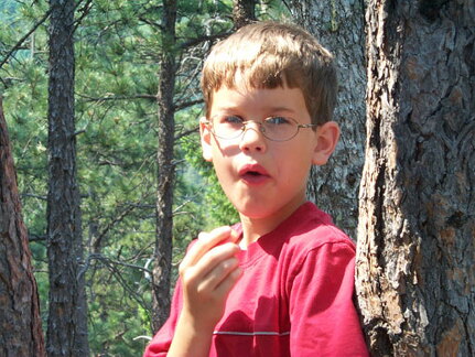 greenmountain-ezra-062102