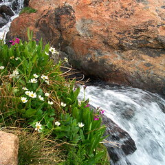 lakeisabelle-creek2-062502