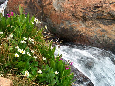 lakeisabelle-creek2-062502