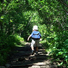 lostlaketrail-theahiker-062202