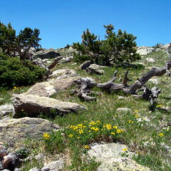 rainbowlaketrail2-062402