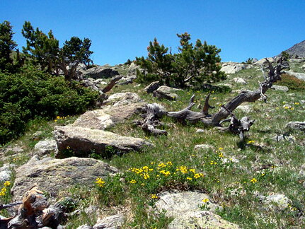 rainbowlaketrail2-062402