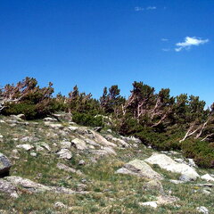 rainbowlaketrail3-062402