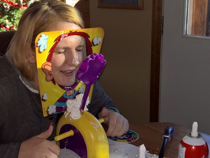 WP-20161227-15-49-45-Pro