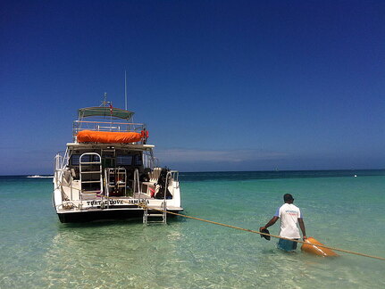 Turtle-Dove-Refueling