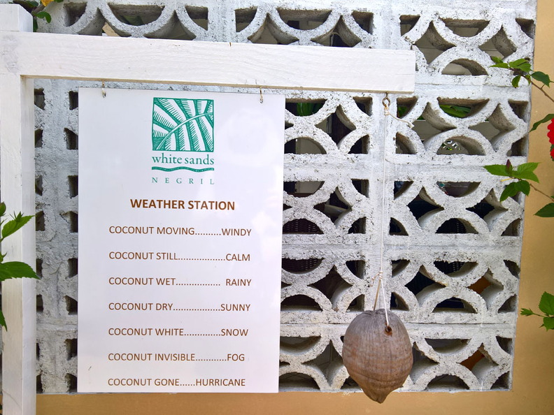 Weather-White-Sandso