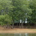 Lake-Monroe-Shore