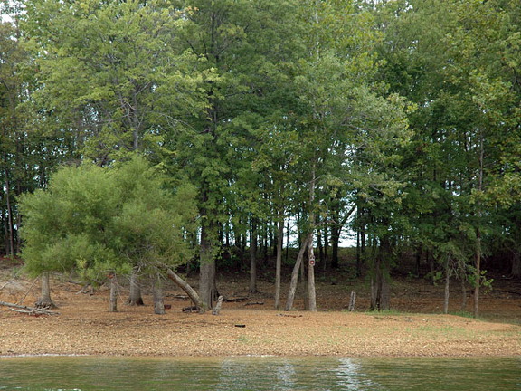 Lake-Monroe-Shore