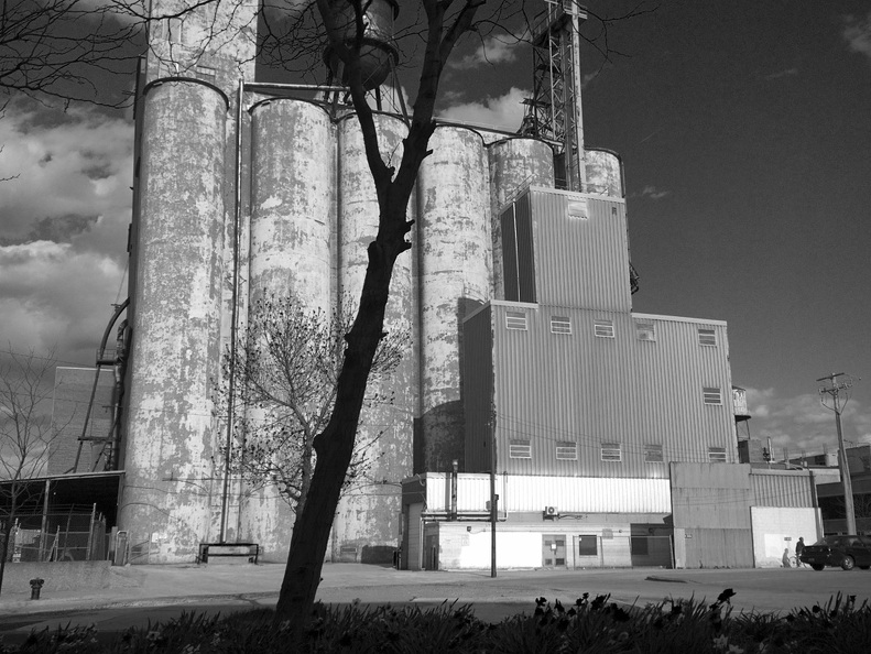 Chicago Grain