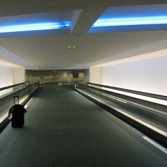travel